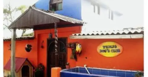 TENJO DOGS CLUB TENJO DOGS CLUB
